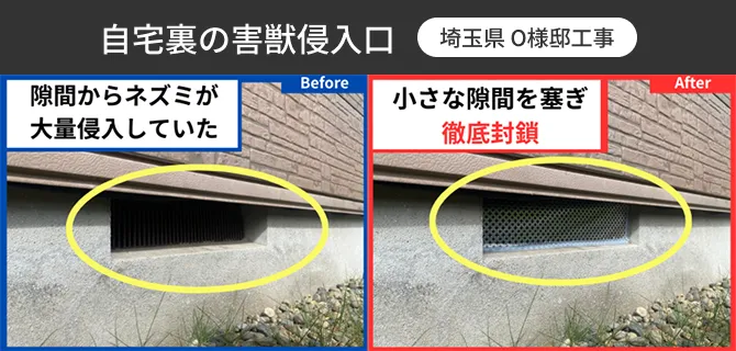 自宅裏の害獣侵入口