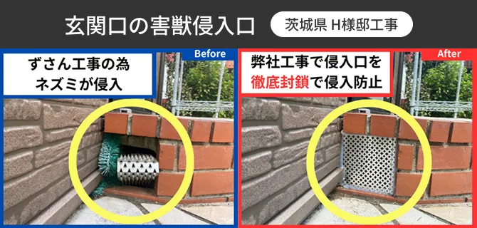 玄関口の害獣侵入口
