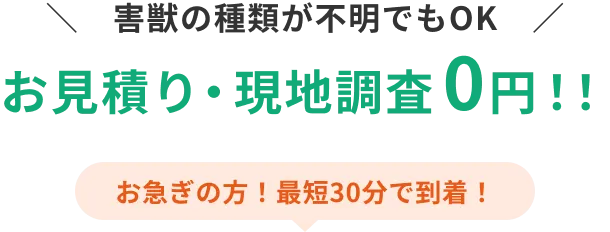 害獣の種類が不明でもOK お見積り・現地調査 0円！！