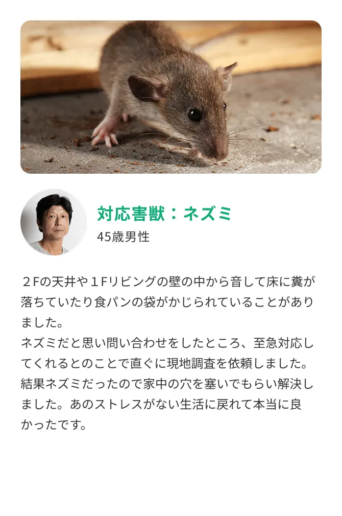 自宅裏の害獣侵入口