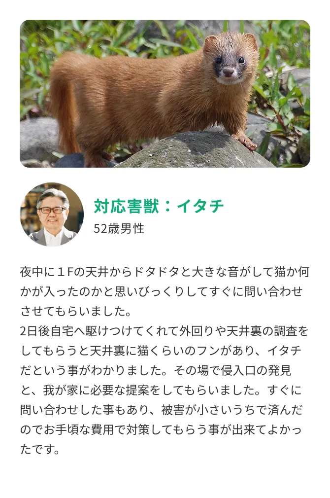 自宅横の害獣侵入口