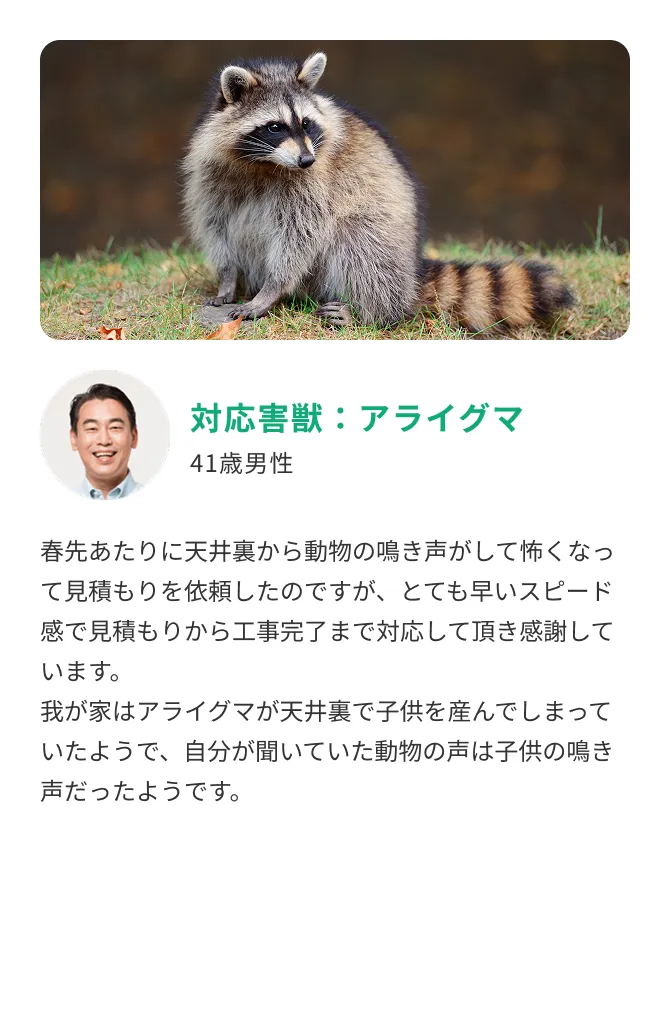 ベランダコウモリの巣