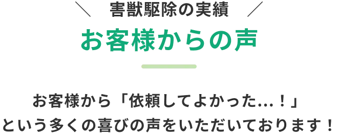 ＼害獣駆除の実績／お客様の声